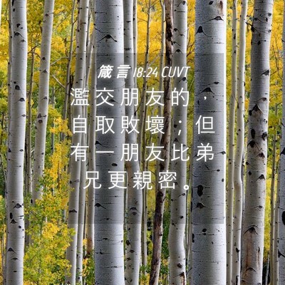 Picture 04 - 箴 言 18:24 CUVT - 濫 交 朋 友 的 ， 自 取 敗 壞 ； 但 - Bible Verse Picture