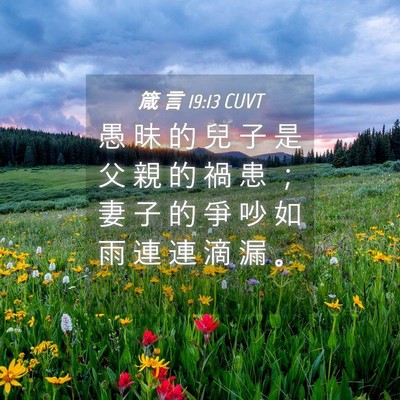 Picture 04 - 箴 言 19:13 CUVT - 愚 昧 的 兒 子 是 父 親 的 禍 患 ； - Bible Verse Picture