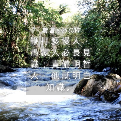 Picture 04 - 箴 言 19:25 CUVT - 鞭 打 褻 慢 人 ， 愚 蒙 人 必 長 見 - Bible Verse Picture