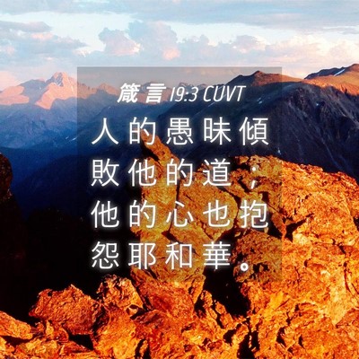 Picture 04 - 箴 言 19:3 CUVT - 人 的 愚 昧 傾 敗 他 的 道 ； 他 的 - Bible Verse Picture