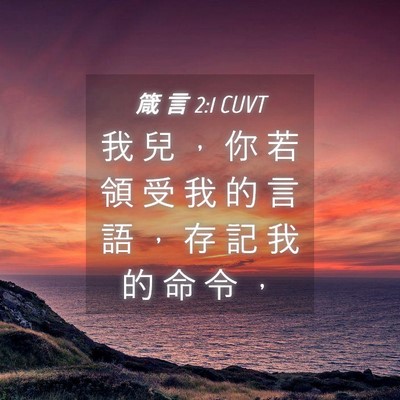 Picture 04 - 箴 言 2:1 CUVT - 我 兒 ， 你 若 領 受 我 的 言 語 ， - Bible Verse Picture