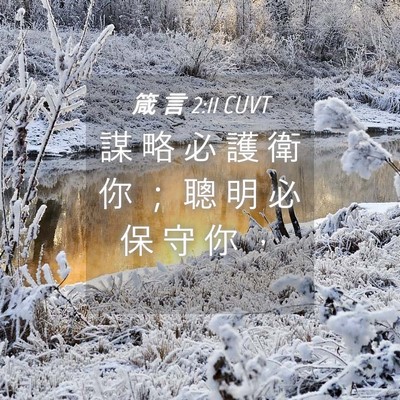 Picture 04 - 箴 言 2:11 CUVT - 謀 略 必 護 衛 你 ； 聰 明 必 保 守 - Bible Verse Picture