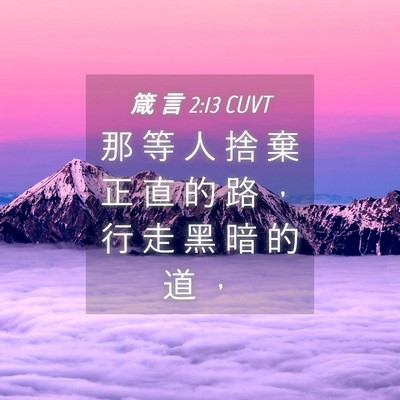 Picture 04 - 箴 言 2:13 CUVT - 那 等 人 捨 棄 正 直 的 路 ， 行 走 - Bible Verse Picture