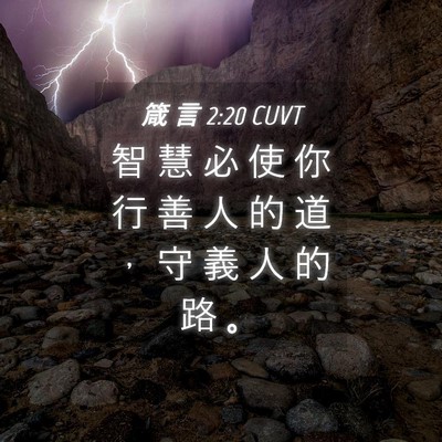 Picture 04 - 箴 言 2:20 CUVT - 智 慧 必 使 你 行 善 人 的 道 ， 守 - Bible Verse Picture