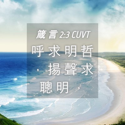 Picture 04 - 箴 言 2:3 CUVT - 呼 求 明 哲 ， 揚 聲 求 聰 明 - Bible Verse Picture