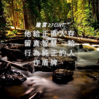 Picture 04 - 箴 言 2:7 CUVT - 他 給 正 直 人 存 留 真 智 慧 ， 給 - Bible Verse Picture