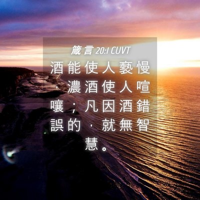 Picture 04 - 箴 言 20:1 CUVT - 酒 能 使 人 褻 慢 ， 濃 酒 使 人 喧 - Bible Verse Picture