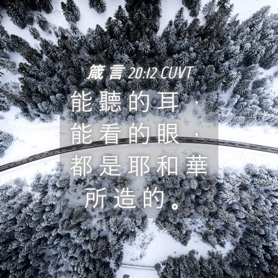 Picture 04 - 箴 言 20:12 CUVT - 能 聽 的 耳 ， 能 看 的 眼 ， 都 是 - Bible Verse Picture