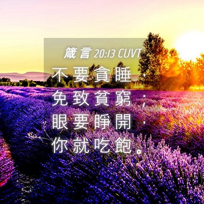 Picture 04 - 箴 言 20:13 CUVT - 不 要 貪 睡 ， 免 致 貧 窮 ； 眼 要 - Bible Verse Picture