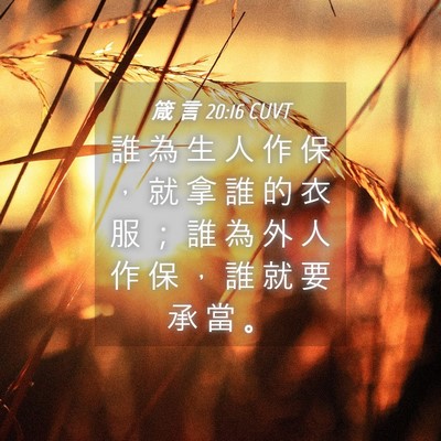 Picture 04 - 箴 言 20:16 CUVT - 誰 為 生 人 作 保 ， 就 拿 誰 的 衣 - Bible Verse Picture
