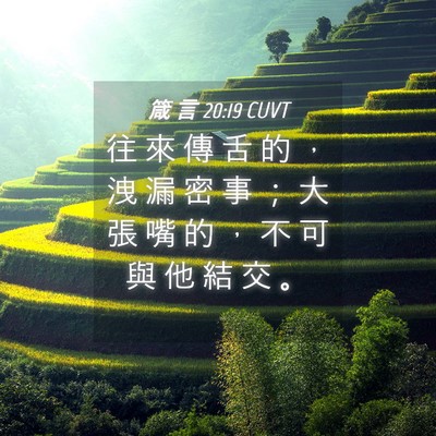 Picture 04 - 箴 言 20:19 CUVT - 往 來 傳 舌 的 ， 洩 漏 密 事 ； 大 - Bible Verse Picture