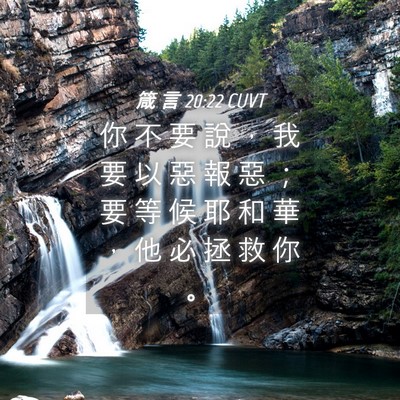 Picture 04 - 箴 言 20:22 CUVT - 你 不 要 說 ， 我 要 以 惡 報 惡 ； - Bible Verse Picture