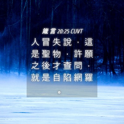 Picture 04 - 箴 言 20:25 CUVT - 人 冒 失 說 ， 這 是 聖 物 ， 許 願 - Bible Verse Picture