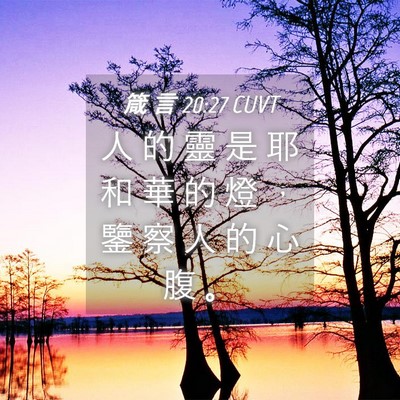 Picture 04 - 箴 言 20:27 CUVT - 人 的 靈 是 耶 和 華 的 燈 ， 鑒 察 - Bible Verse Picture