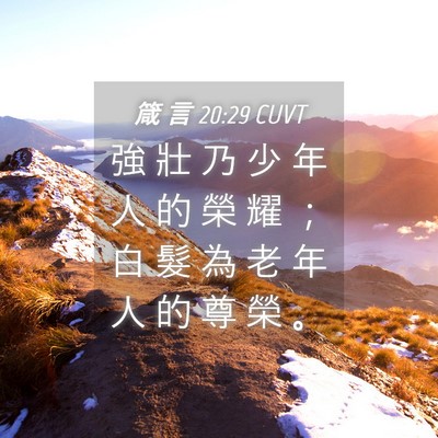Picture 04 - 箴 言 20:29 CUVT - 強 壯 乃 少 年 人 的 榮 耀 ； 白 髮 - Bible Verse Picture