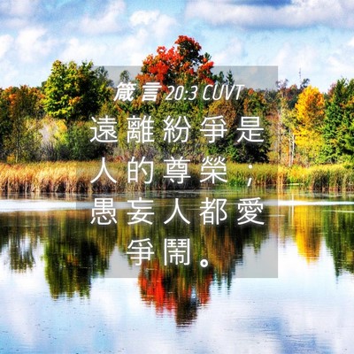 Picture 04 - 箴 言 20:3 CUVT - 遠 離 紛 爭 是 人 的 尊 榮 ； 愚 妄 - Bible Verse Picture
