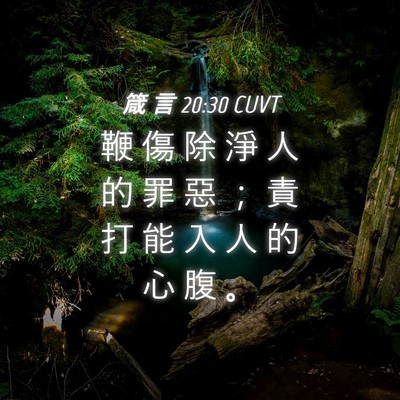 Picture 04 - 箴 言 20:30 CUVT - 鞭 傷 除 淨 人 的 罪 惡 ； 責 打 能 - Bible Verse Picture