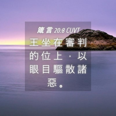 Picture 04 - 箴 言 20:8 CUVT - 王 坐 在 審 判 的 位 上 ， 以 眼 目 - Bible Verse Picture