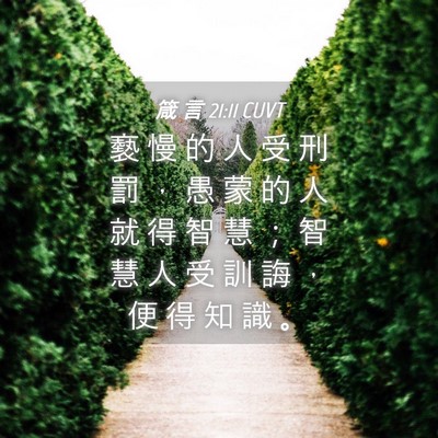 Picture 04 - 箴 言 21:11 CUVT - 褻 慢 的 人 受 刑 罰 ， 愚 蒙 的 人 - Bible Verse Picture