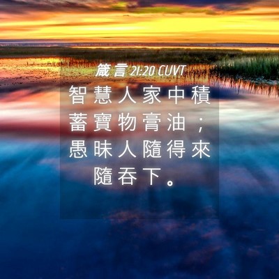 Picture 04 - 箴 言 21:20 CUVT - 智 慧 人 家 中 積 蓄 寶 物 膏 油 ； - Bible Verse Picture