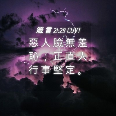 Picture 04 - 箴 言 21:29 CUVT - 惡 人 臉 無 羞 恥 ； 正 直 人 行 事 - Bible Verse Picture