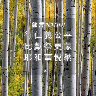 Picture 04 - 箴 言 21:3 CUVT - 行 仁 義 公 平 比 獻 祭 更 蒙 耶 和 - Bible Verse Picture