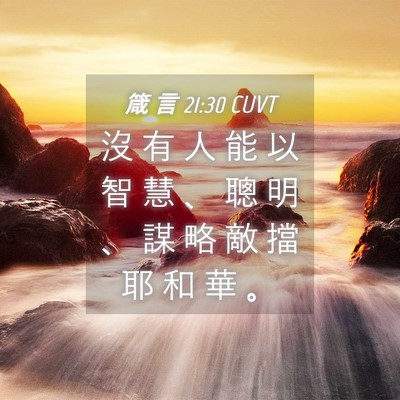 Picture 04 - 箴 言 21:30 CUVT - 沒 有 人 能 以 智 慧 、 聰 明 、 謀 - Bible Verse Picture