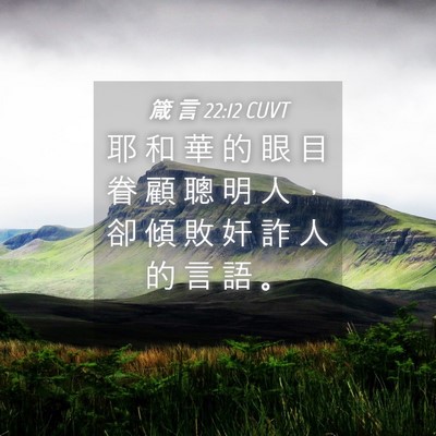 Picture 04 - 箴 言 22:12 CUVT - 耶 和 華 的 眼 目 眷 顧 聰 明 人 ， - Bible Verse Picture