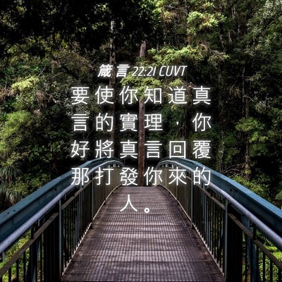 Picture 04 - 箴 言 22:21 CUVT - 要 使 你 知 道 真 言 的 實 理 ， 你 - Bible Verse Picture