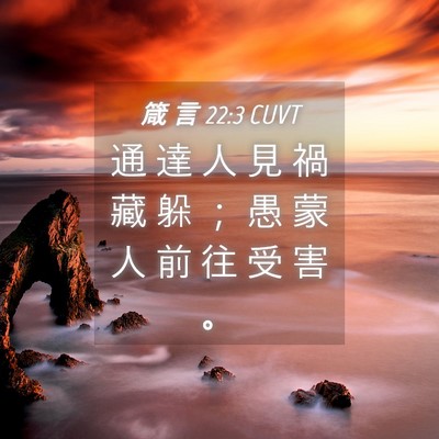 Picture 04 - 箴 言 22:3 CUVT - 通 達 人 見 禍 藏 躲 ； 愚 蒙 人 前 - Bible Verse Picture