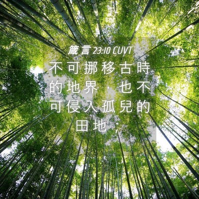 Picture 04 - 箴 言 23:10 CUVT - 不 可 挪 移 古 時 的 地 界 ， 也 不 - Bible Verse Picture