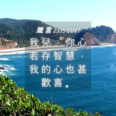 Picture 04 - 箴 言 23:15 CUVT - 我 兒 ， 你 心 若 存 智 慧 ， 我 的 - Bible Verse Picture