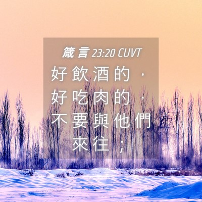 Picture 04 - 箴 言 23:20 CUVT - 好 飲 酒 的 ， 好 吃 肉 的 ， 不 要 - Bible Verse Picture