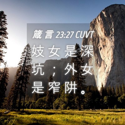 Picture 04 - 箴 言 23:27 CUVT - 妓 女 是 深 坑 ； 外 女 是 窄 阱 - Bible Verse Picture