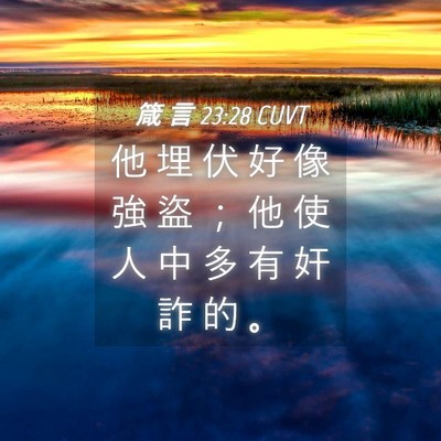 Picture 04 - 箴 言 23:28 CUVT - 他 埋 伏 好 像 強 盜 ； 他 使 人 中 - Bible Verse Picture