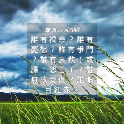 Picture 04 - 箴 言 23:29 CUVT - 誰 有 禍 患 ？ 誰 有 憂 愁 ？ 誰 有 - Bible Verse Picture