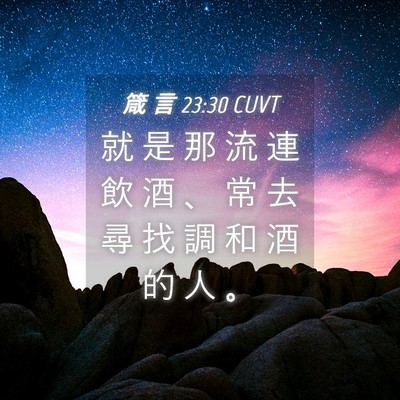 Picture 04 - 箴 言 23:30 CUVT - 就 是 那 流 連 飲 酒 、 常 去 尋 找 - Bible Verse Picture