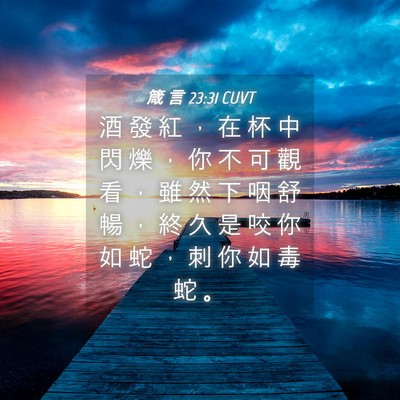 Picture 04 - 箴 言 23:31 CUVT - 酒 發 紅 ， 在 杯 中 閃 爍 ， 你 不 - Bible Verse Picture
