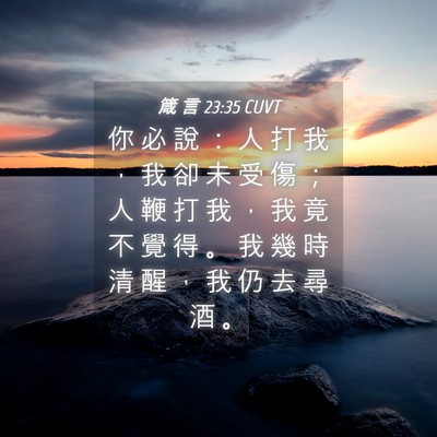 Picture 04 - 箴 言 23:35 CUVT - 你 必 說 ： 人 打 我 ， 我 卻 未 受 - Bible Verse Picture