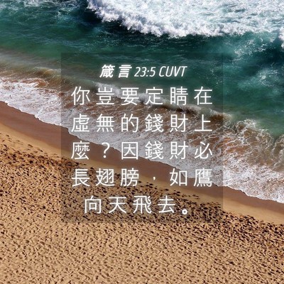Picture 04 - 箴 言 23:5 CUVT - 你 豈 要 定 睛 在 虛 無 的 錢 財 上 - Bible Verse Picture