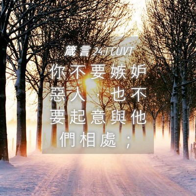 Picture 04 - 箴 言 24:1 CUVT - 你 不 要 嫉 妒 惡 人 ， 也 不 要 起 - Bible Verse Picture