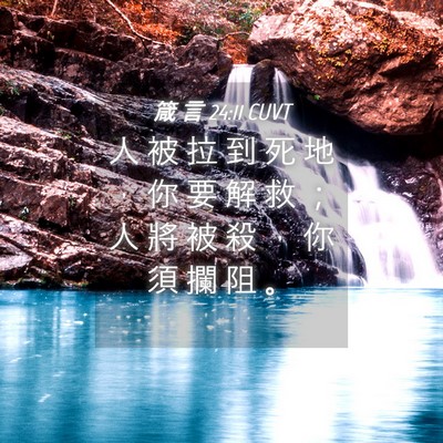Picture 04 - 箴 言 24:11 CUVT - 人 被 拉 到 死 地 ， 你 要 解 救 ； - Bible Verse Picture