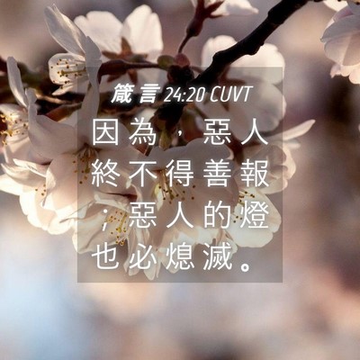 Picture 04 - 箴 言 24:20 CUVT - 因 為 ， 惡 人 終 不 得 善 報 ； 惡 - Bible Verse Picture