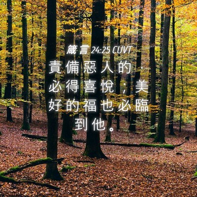 Picture 04 - 箴 言 24:25 CUVT - 責 備 惡 人 的 ， 必 得 喜 悅 ； 美 - Bible Verse Picture