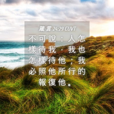 Picture 04 - 箴 言 24:29 CUVT - 不 可 說 ： 人 怎 樣 待 我 ， 我 也 - Bible Verse Picture