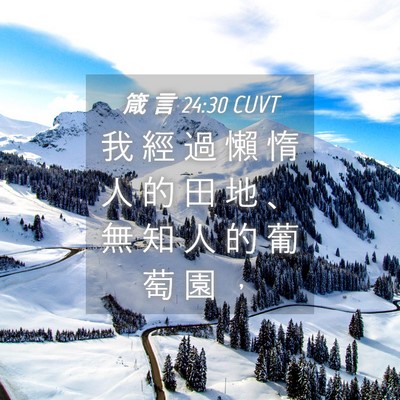 Picture 04 - 箴 言 24:30 CUVT - 我 經 過 懶 惰 人 的 田 地 、 無 知 - Bible Verse Picture