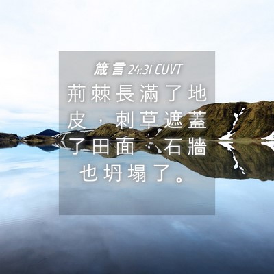 Picture 04 - 箴 言 24:31 CUVT - 荊 棘 長 滿 了 地 皮 ， 刺 草 遮 蓋 - Bible Verse Picture