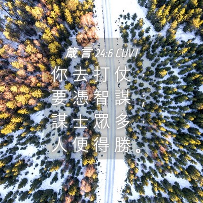 Picture 04 - 箴 言 24:6 CUVT - 你 去 打 仗 ， 要 憑 智 謀 ； 謀 士 - Bible Verse Picture