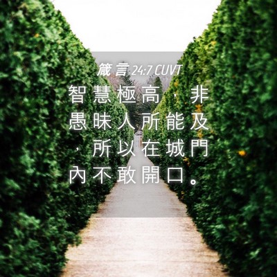 Picture 04 - 箴 言 24:7 CUVT - 智 慧 極 高 ， 非 愚 昧 人 所 能 及 - Bible Verse Picture