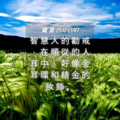Picture 04 - 箴 言 25:12 CUVT - 智 慧 人 的 勸 戒 ， 在 順 從 的 人 - Bible Verse Picture